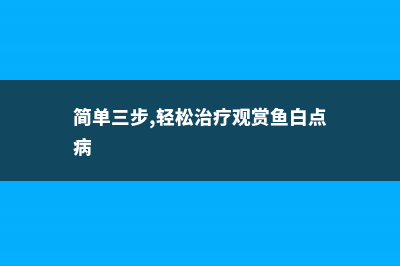 简单三步，轻松辨别迎春花和黄素馨，可别闹笑话啦！ (简单三步,轻松治疗观赏鱼白点病)