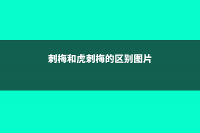 刺梅虎刺梅傻傻分不清楚？看了这三条，轻松区分！ (刺梅和虎刺梅的区别图片)