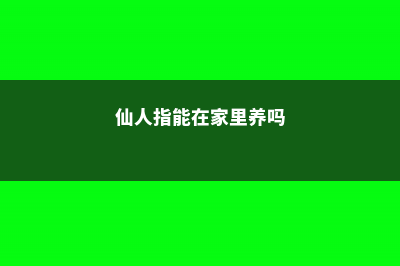 仙人指放家里，帮助睡眠又好养，简单省心 – (仙人指能在家里养吗)