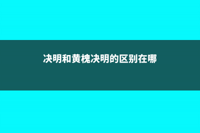 双荚决明和黄槐决明的区别 (决明和黄槐决明的区别在哪)