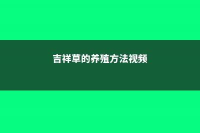 吉祥草的养殖方法及注意事项 (吉祥草的养殖方法视频)