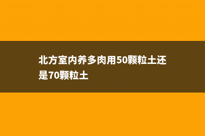 北方室内养多肉会好看吗 (北方室内养多肉用50颗粒土还是70颗粒土)