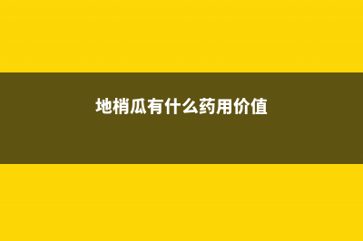 地梢瓜的养殖方法及注意事项 (地梢瓜有什么药用价值)