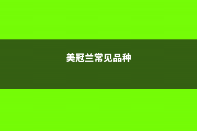 美冠兰的养殖方法及注意事项 (美冠兰常见品种)