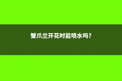 蟹爪兰开花时能浇水吗 (蟹爪兰开花时能喷水吗?)