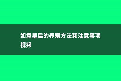 如意皇后的养殖方法及注意事项 (如意皇后的养殖方法和注意事项视频)