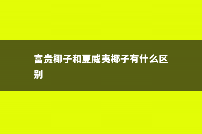 富贵椰子和夏威夷椰子的区别 (富贵椰子和夏威夷椰子有什么区别)