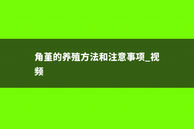 角堇的养殖方法及注意事项 (角堇的养殖方法和注意事项 视频)