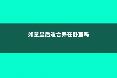 如意皇后养在室内好吗 (如意皇后适合养在卧室吗)