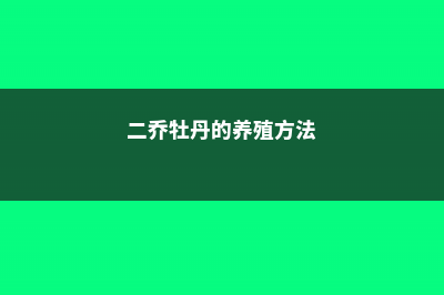 二乔牡丹的养殖方法及注意事项 (二乔牡丹的养殖方法)