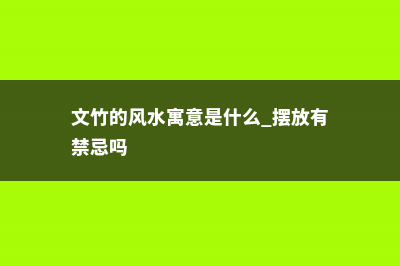 文竹风水摆放禁忌 (文竹的风水寓意是什么 摆放有禁忌吗)