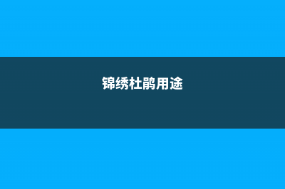 锦绣杜鹃的养殖方法和注意事项 (锦绣杜鹃用途)