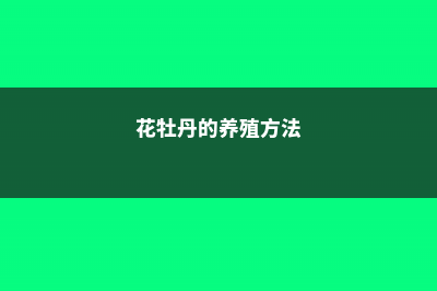 花牡丹的养殖方法及注意事项 (花牡丹的养殖方法)