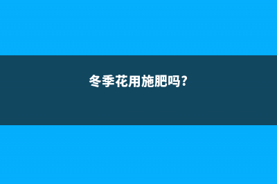 冬天需要给花施叶面肥吗 (冬季花用施肥吗?)