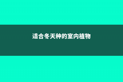 冬天适合种在室外的开花花卉 (适合冬天种的室内植物)