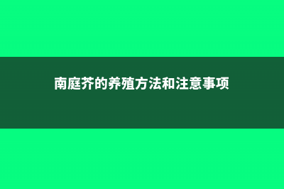 南庭芥的养殖方法 (南庭芥的养殖方法和注意事项)