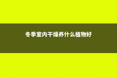 冬季室内干燥养什么花合适？ (冬季室内干燥养什么植物好)