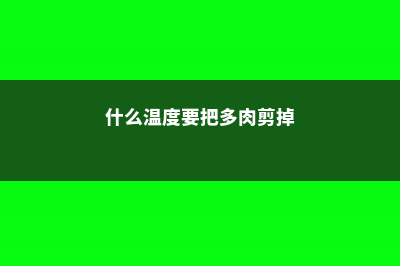 什么温度要把多肉搬回室内养 (什么温度要把多肉剪掉)