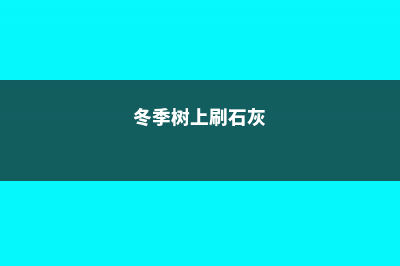 树木冬季刷石灰水有什么作用 (冬季树上刷石灰)