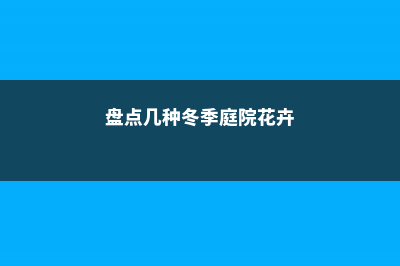 盘点几种冬季庭院冻不死的花卉 (盘点几种冬季庭院花卉)