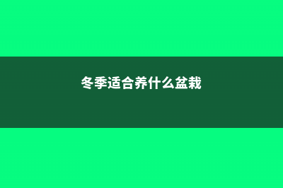 冬季适合新手养殖的植物 (冬季适合养什么盆栽)