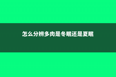 多肉怎么区分夏型种、冬型种、春秋型 (怎么分辨多肉是冬眠还是夏眠)