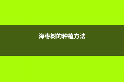 海枣树的养殖方法及注意事项 (海枣树的种植方法)