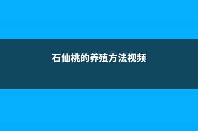 石仙桃的养殖方法及注意事项 (石仙桃的养殖方法视频)