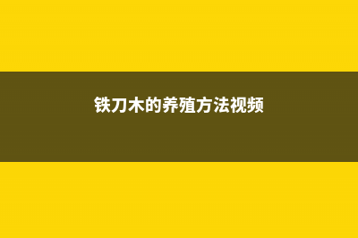 铁刀木的养殖方法及注意事项 (铁刀木的养殖方法视频)