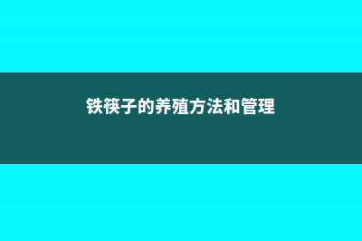 铁筷子的养殖方法及注意事项 (铁筷子的养殖方法和管理)