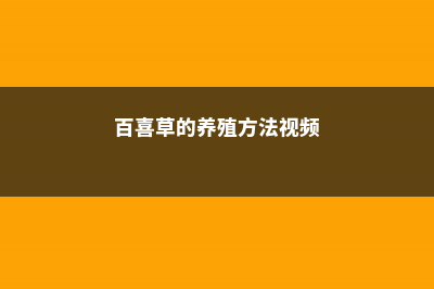 百喜草的养殖方法及注意事项 (百喜草的养殖方法视频)