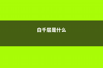 白千层的养殖方法及注意事项 (白千层是什么)