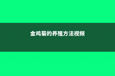 金鸡菊的养殖方法及注意事项 (金鸡菊的养殖方法视频)