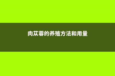 肉苁蓉的养殖方法及注意事项 (肉苁蓉的养殖方法和用量)