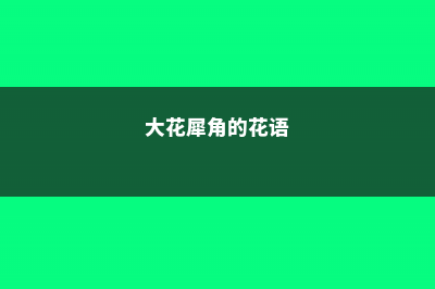 大花犀角的养殖方法及注意事项 (大花犀角的花语)