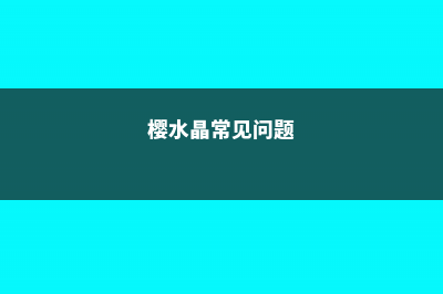 樱水晶和三角琉璃莲的区别 (樱水晶常见问题)