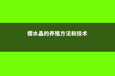 樱水晶的养殖方法及注意事项 (樱水晶的养殖方法和技术)