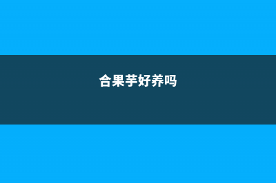 合果芋和绿萝的区别 (合果芋好养吗)