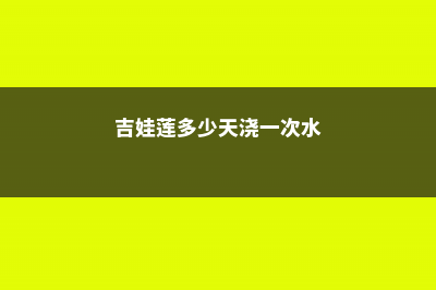 吉娃莲可以直接晒太阳吗？ (吉娃莲多少天浇一次水)