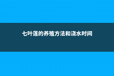 七叶莲的养殖方法及注意事项 (七叶莲的养殖方法和浇水时间)