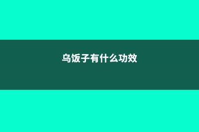 乌饭子的常见品种 (乌饭子有什么功效)