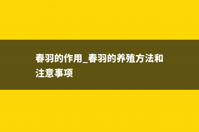 春羽和春芋的区别 (春羽的作用 春羽的养殖方法和注意事项)