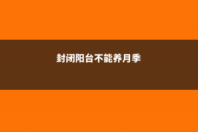 封闭阳台就不能养花？瞎说，养这些比露天花园还美！ (封闭阳台不能养月季)