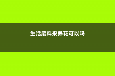 生活废料来养花，花壮苗旺顶呱呱！ (生活废料来养花可以吗)