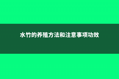 水竹的养殖方法和注意事项 (水竹的养殖方法和注意事项功效)