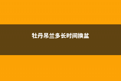 牡丹吊兰多长时间开一次花 (牡丹吊兰多长时间换盆)