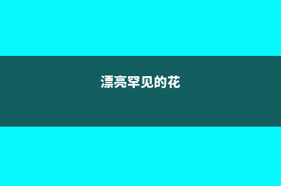 罕见的花有哪些？见过其中5个算你厉害 – (漂亮罕见的花)