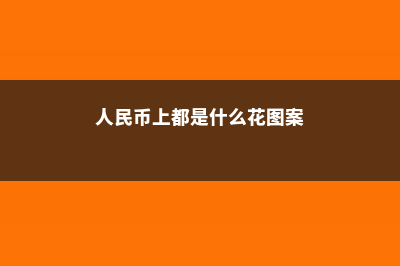 人民币上都是什么花？我也要养一盆 (人民币上都是什么花图案)