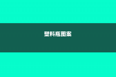 「图解」塑料瓶DIY懒人浇水神器和扦插神器！ (塑料瓶图案)