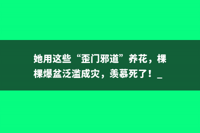 她用这些“歪门邪道”养花，棵棵爆盆泛滥成灾，羡慕死了！ 